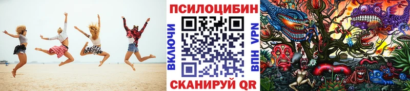 Псилоцибиновые грибы Cubensis  что такое   Лесной 